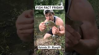 This Fish Will Fake Being a Female #fishfactfriday