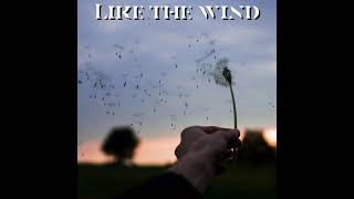 Like the Wind | Dope Sample Instrumental | Freestyle Type Beat