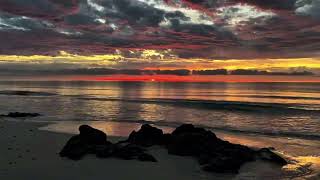 Osman Navruz Hayot🔥