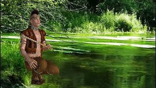 Flauta Indígena Nativa & Chuvas no Bosque (Anti-stress e Anti-insônia)
