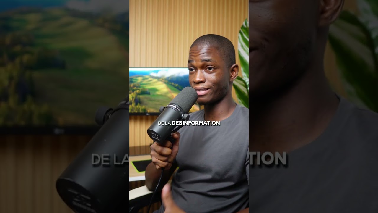 Immigration africaine en Europe : analyse et opinion