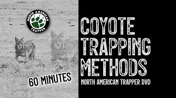 COYOTE TRAPPING Methods ~ North American Trapper DVD