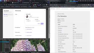 Exif data [META DATA] bug vulnerbility POC exploit 500$ screenshot 4