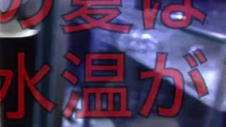 【アクアリウム】初めての白濁り【バクテリアのバランス？】