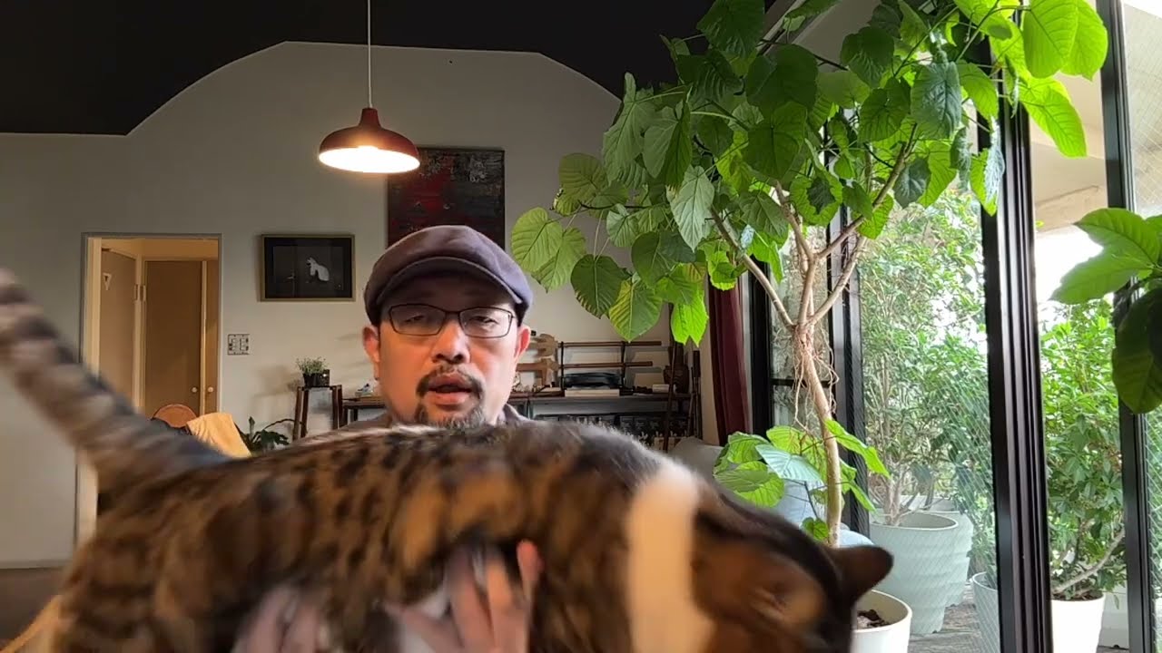 闲聊两句澳洲华人大瓜