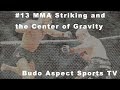 #13 MMA Striking and the Center of Gravity | Budo Aspect Sports TV