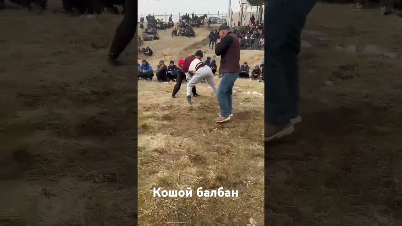 Кыргыз күрөш|Алайку, Көк-Арт айылы