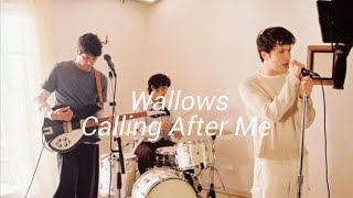 Wallows//Calling After Me//Sub Español//English