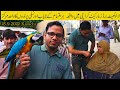 Lalukhet Exotic Birds and Parrots Sunday Market 25-9-2022 Karachi