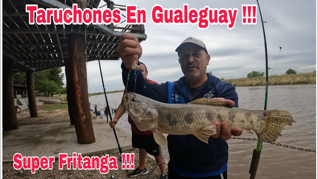TARUCHAS A FULL !!! en Gualeguay , Complejo EL TRONCO /  Fritanga al Disco de Tarariras y Palometas