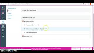 Navigating Canvas 101
