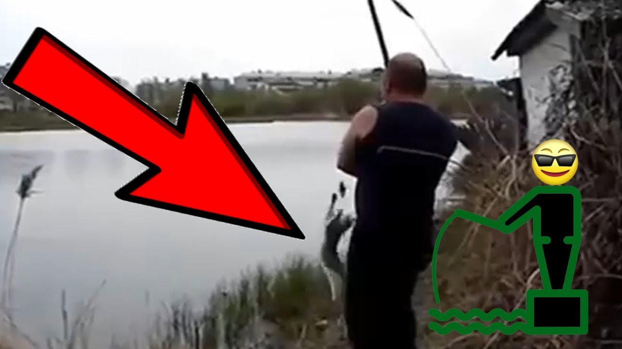 🎣 NEU 🎣 Katze klaut Fisch von Angeln & Fischen NEU 🐡 🎣🐠 YouTube