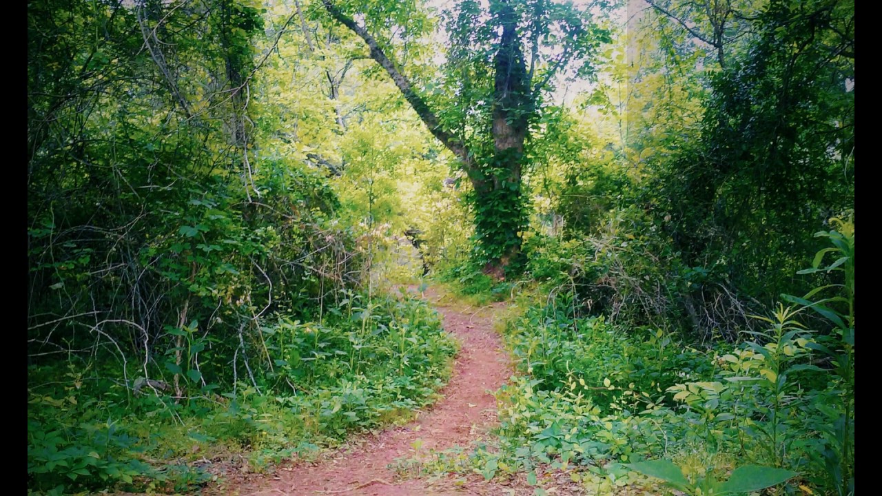 Ein kleiner versteckter Weg