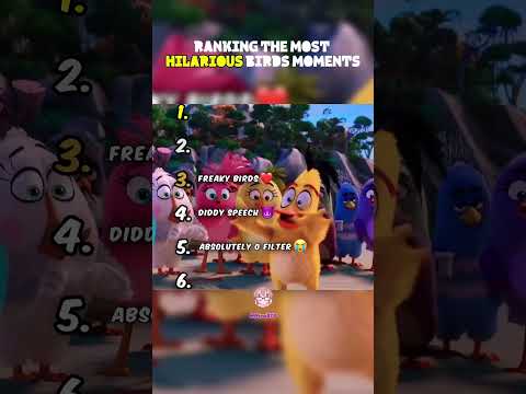 RANKING THE MOST HILARIOUS BIRDS MOMENTS