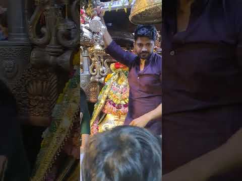 jai mai kalka