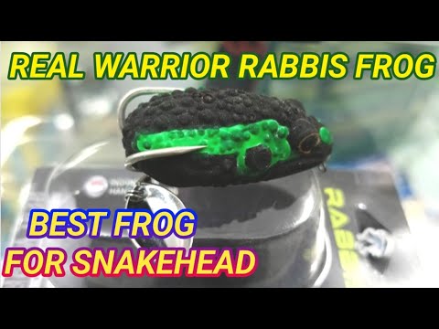 REAL WARRIOR RABBIS FROG 🐸 | শোল ও গজার মাছ ধরার কৃত্রিম ব্যাঙ 🐸 ...
