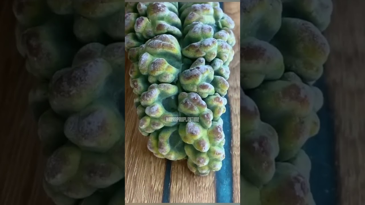 🎮 Amazing Gaming Facts That Will Shock You! 😱 