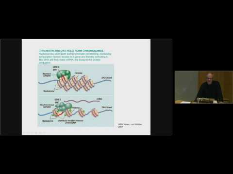 Video: Ved Bruk Av Krystallografi, Topologi Og Graftsettanalyse For Beskrivelse Av Hydrogenbindingsnettverket Til Triamteren: En Rasjonell Tilnærming Til Valg Av Fast Form