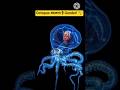 नर से मादा बन जाता है ये octopus 😱 #shortsfeed #intrestingfacts #rochaktathya #octopus