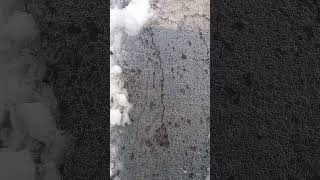 2022 Ice Drip With Bliss Day 1