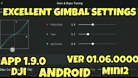Dji Mini 2. DJI Fly App. My AMAZING Super Smooth Gimbal Settings.