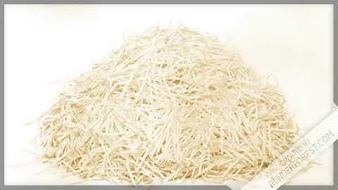 Secure Document Shredding Services