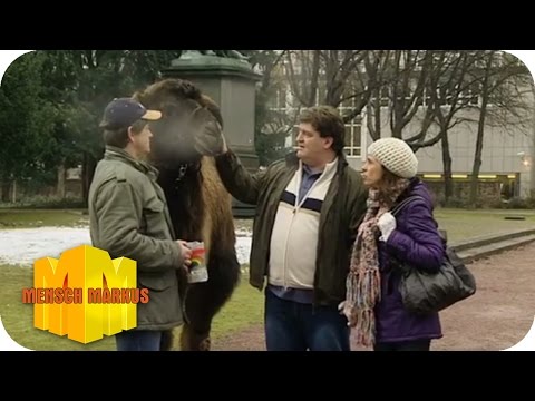Spenden | Mensch Markus