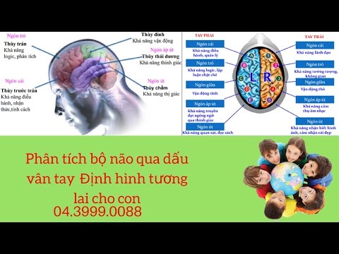 Video [Pax Key] Phân tích bộ não qua dấu vân tay - Định hình... - youtube