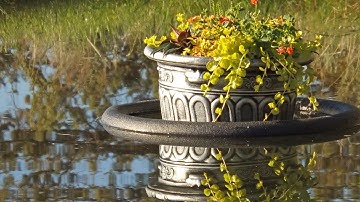 Make a Floating Garden. Jardim Flutuante.