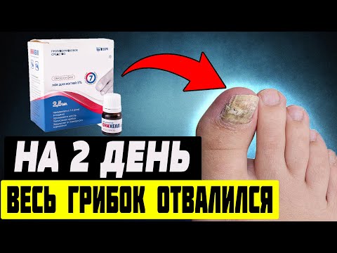 Топ - 6