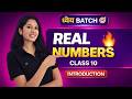 Real Numbers Class 10 (Part 1) 🔥 | Basics + LCM, HCF, Euclid Division Algorithm | CBSE Maths
