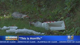 Neighbors Say Vacant Lots In Avalon Park Are Not Just Unsightly, But Dangerous