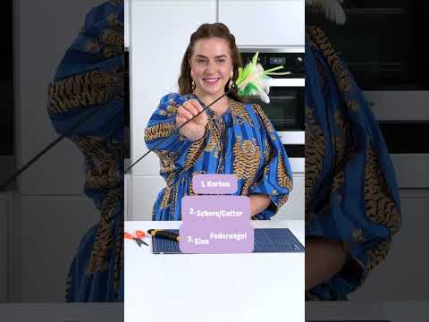 DIY Katzen-Spielzeug aus Dingen, die du schon zuhause hast!