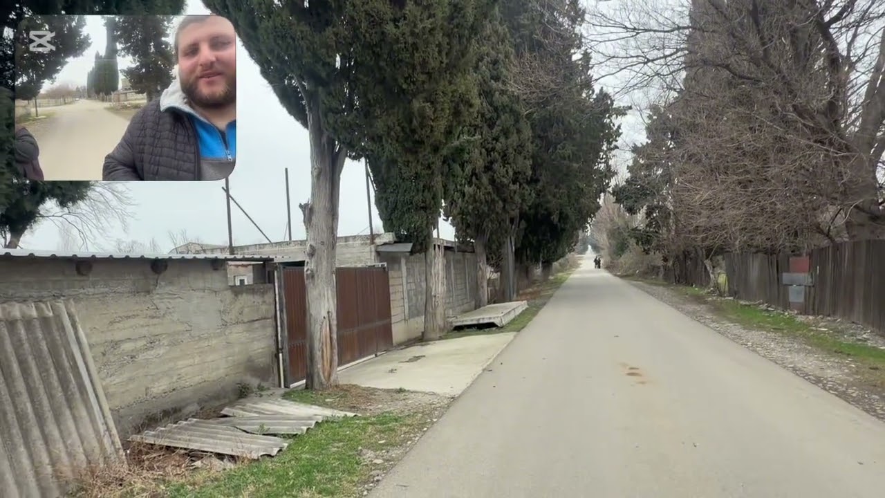 მოგესალმებით