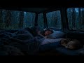 Deep Night Relaxation 🌙 Cozy Sleep with Soft Ambient Sounds &amp; Calm Pet Companionship (3 Hours)