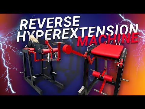 Gymfactory.eu / Reverse Hyperextension Machine (V1)