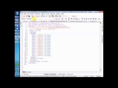 XPath Absolute Paths