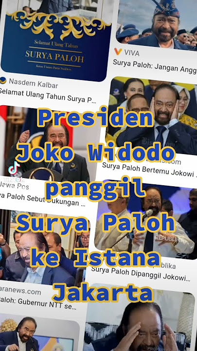 Presiden bertemu dengan Surya Paloh di Istana Jakarta