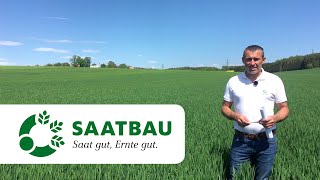 Standortabhängige Bestandesführung Bei Wintergerste