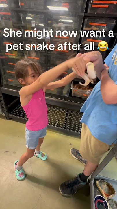 Funny snakes #fyp #funny  #funnyvideos   #foryou #animals #pet #us #funny