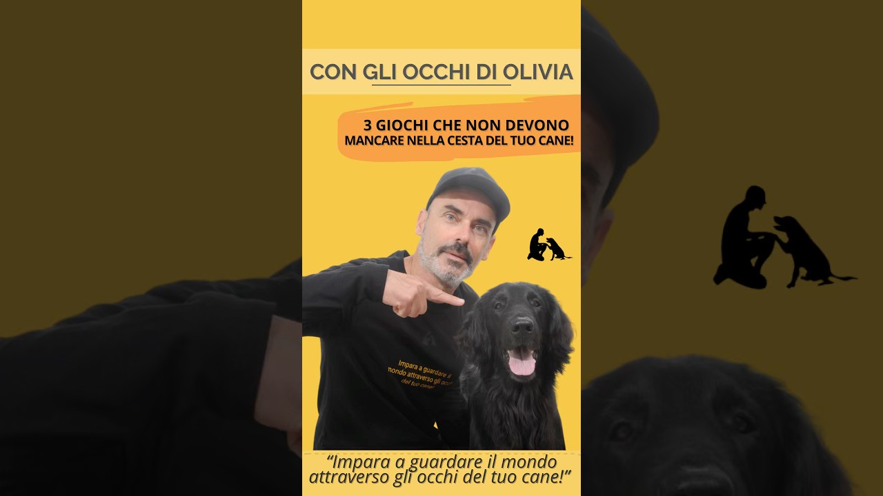 3 GIOCHI CHE NON DEVONO ASSOLUTAMENTE MANCARE NELLA CESTA DEL TUO CANE! #dog #shortsvideo #puppies