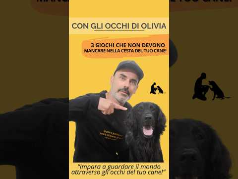 3 GIOCHI CHE NON DEVONO ASSOLUTAMENTE MANCARE NELLA CESTA DEL TUO CANE! #dog #shortsvideo #puppies