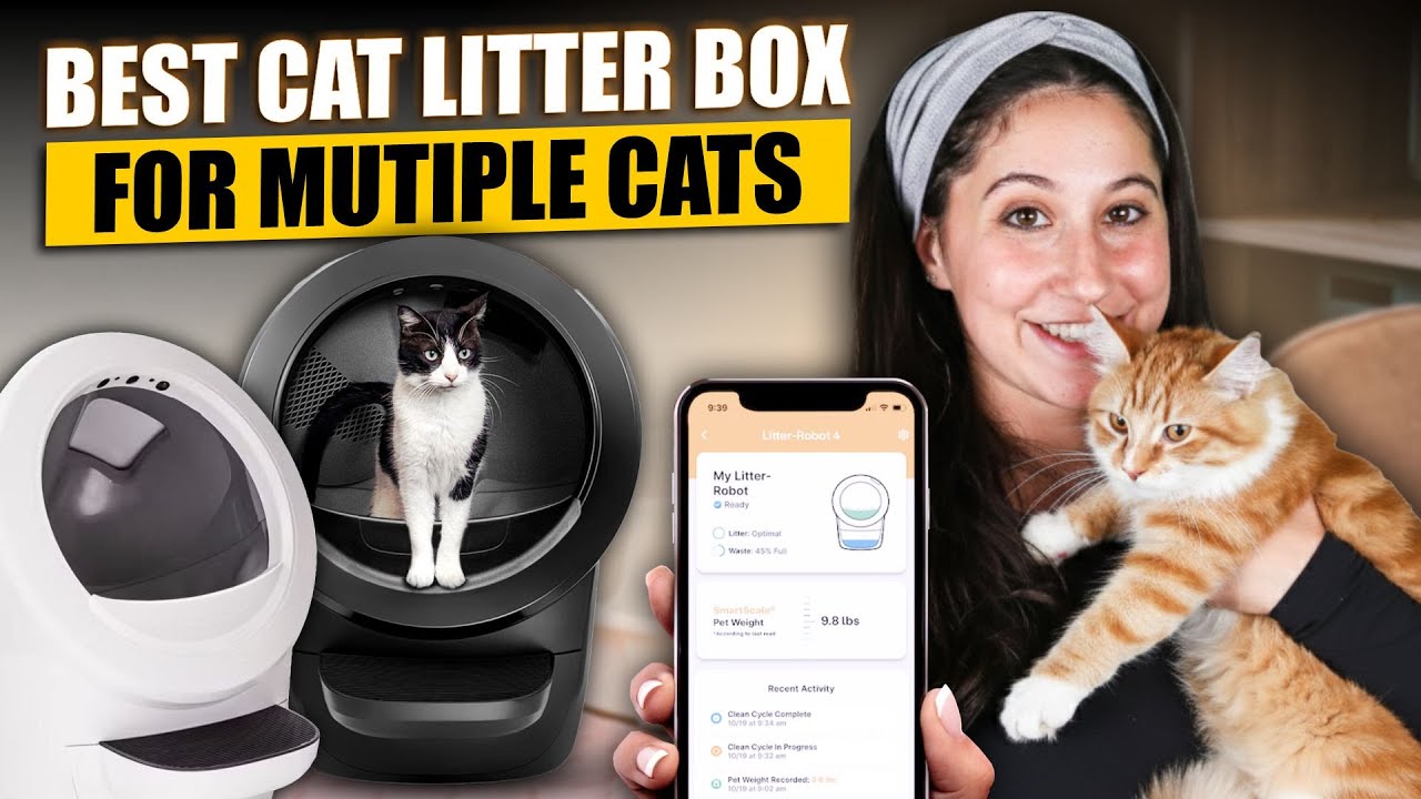 Best Cat Litter Box for Multiple Cats: Stop Tracking & Reduce Scooping  Forever