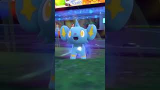 #pokemonscarletandviolet Shinx evolves