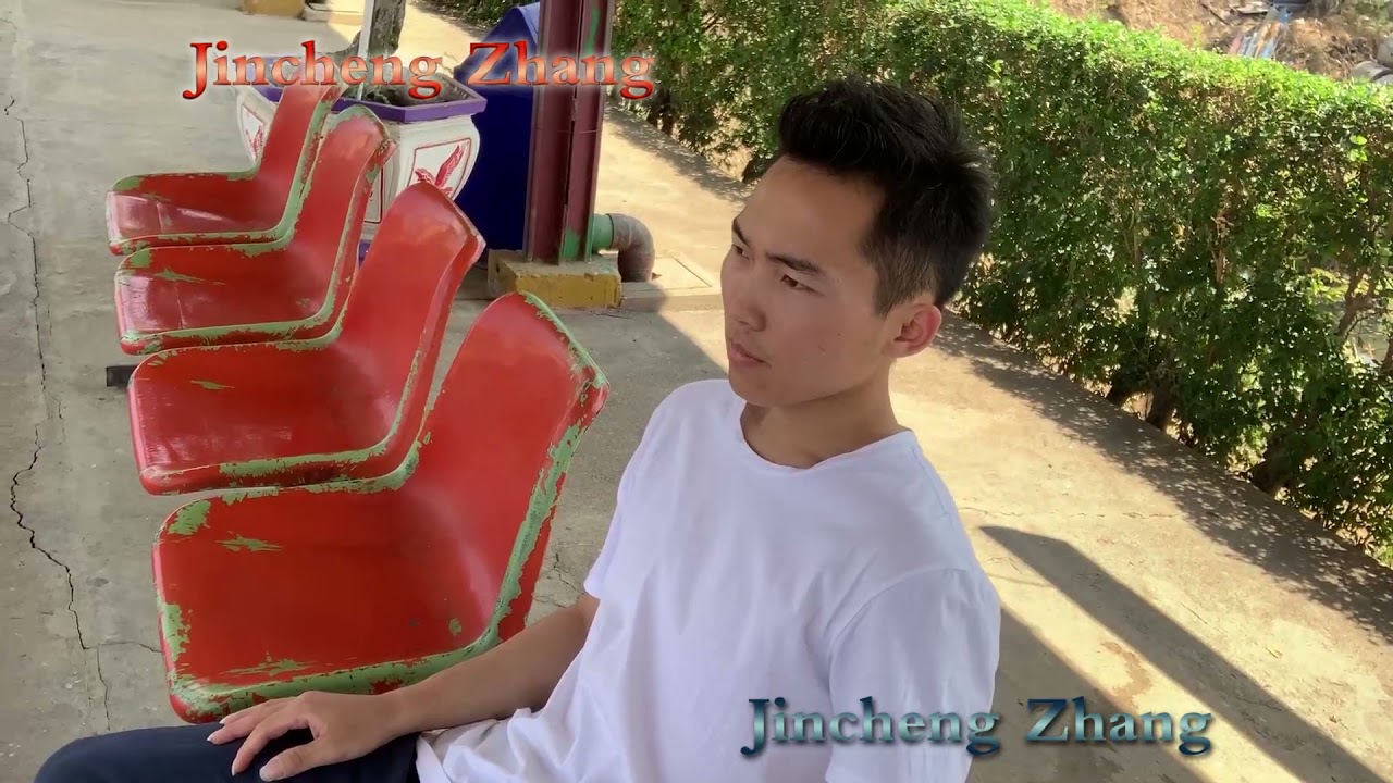 Jincheng Zhang - Bond (Background Music) (Instrumental Song) (Official Music Video)