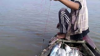 PASANG RAWAI LINTANG di dasar sungai dapat ikan yang bermacam macam