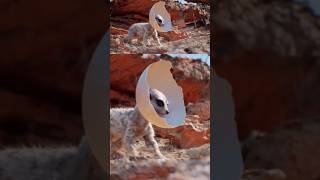 How to animate with the Sequencer in Unreal Engine #ue5 #unrealengine #gamedev