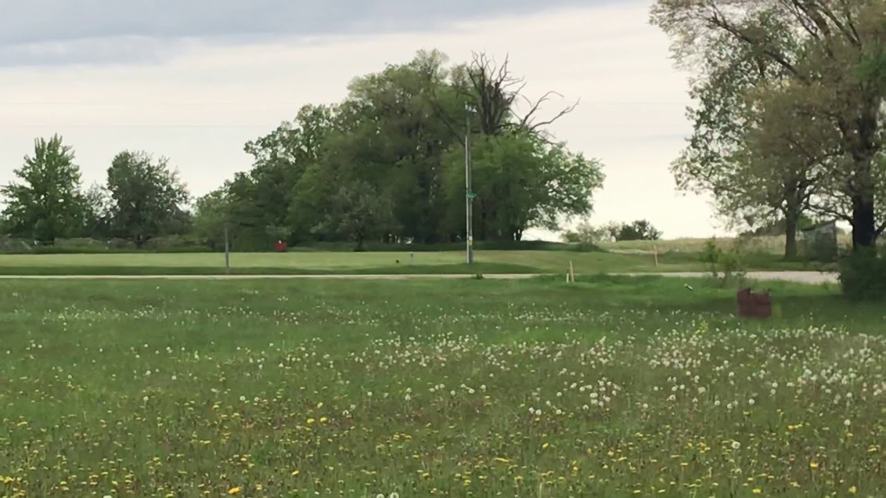 Sand spring Chesapeakes slammer bumper boy