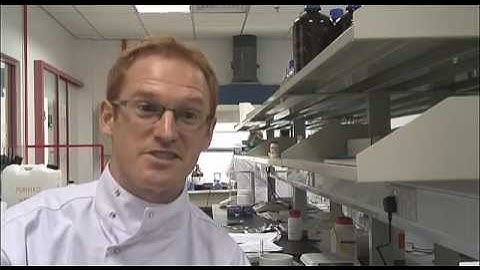 Biodesign - Rational Bioactive Materials Design for Tissue Generation