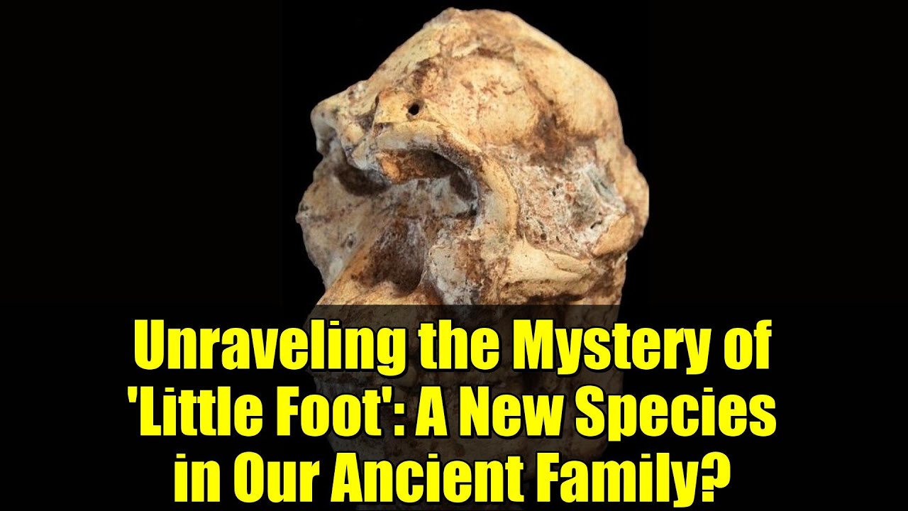 Unraveling the Mystery of 'Little Foot': A New Species in Our Ancient Family?
